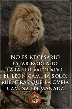 MariaVa79's tweet image. ar.pinterest.com/jorgealifano/f…