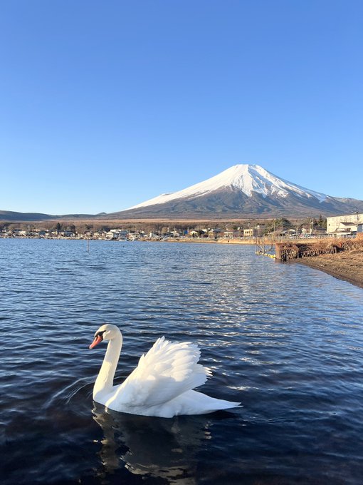 Twitterのコスプレ画像12