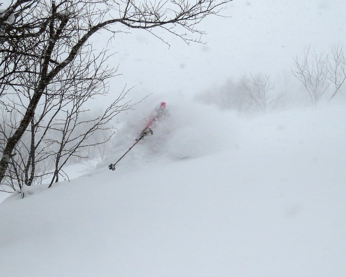 You've heard of Morioka & its nearby ski areas, right? If not: powderhounds.com/Japan/Honshu/M… There are 4 spots left on this powder chasing tour based in Morioka 😀 powderhounds.com/Ski-Shop/Trave…