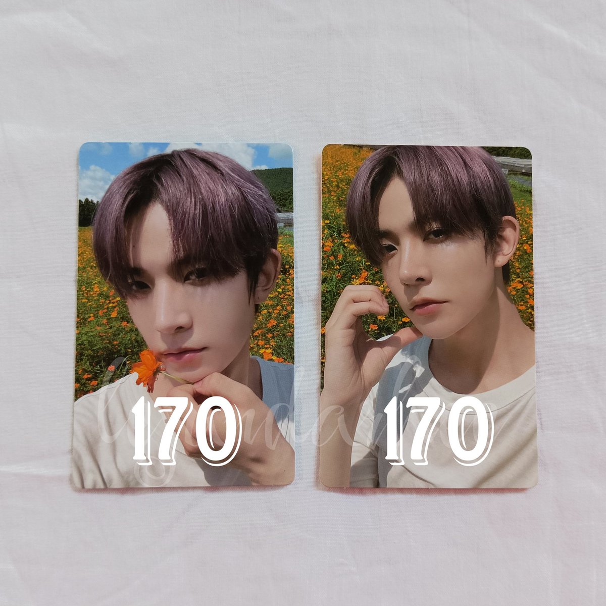 perfharmonhee's tweet photo. wts lfb 

enhypen official photocards

— onhand; ready to ship
— prices are indicated on each photo

mop: gcash
mod: j&amp;t

## jungwon heeseung jay jake sunghoon sunoo ni-ki orange blood dark flower engene ver weverse pearl finger heart smiley scylla selca dusk peace shopee pob ph https://t.co/l0lAB5BQCb
