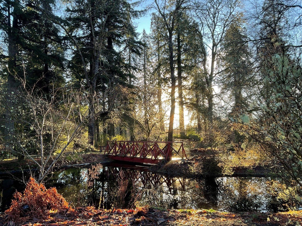philip_ciwf's tweet photo. Nature and our planet is so amazing and inspiring, whatever the season or weather 💚
#LoveOurWorld
#WildForLife https://t.co/5Pp7DJQ9TL