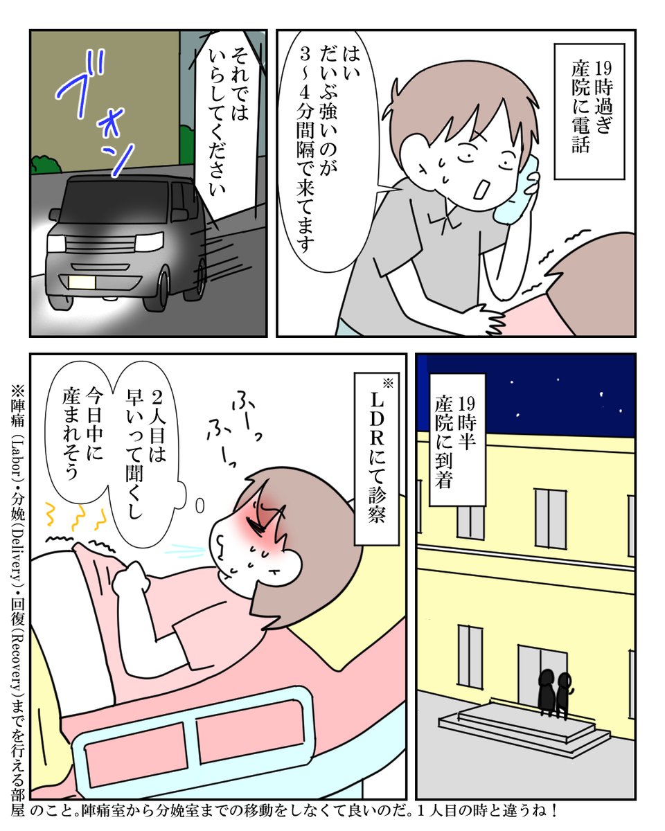 人間を産み落とす事はひとつのドラマ 2/12