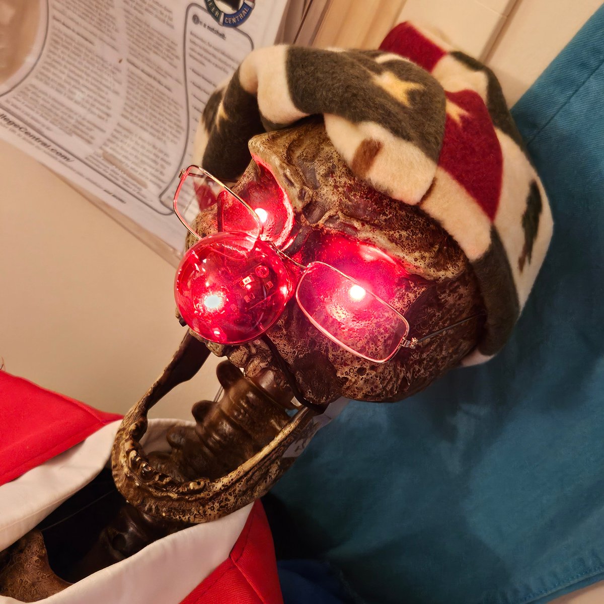 LowerthebarPols's tweet photo. Time to get Val ready for the holidays in the @montgomerycoll #MCSPIFFYCloset! IF you think the nose is bright, wait until you see the rest of the outfit!! https://t.co/exmjvTX0j1