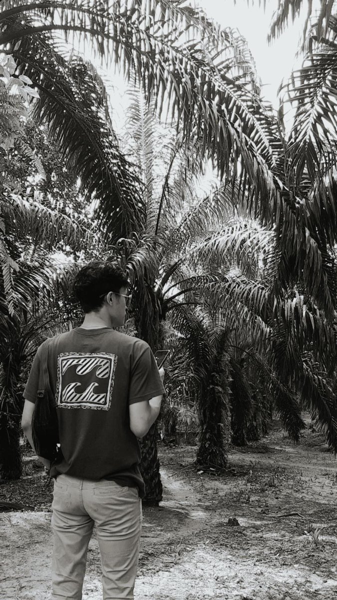 ciwon89's tweet photo. Ngebon sawit ceunah.. https://t.co/augTrJgbIf