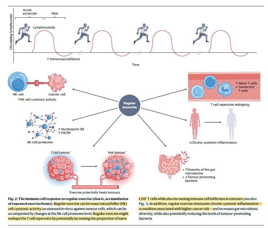 Regular exercise builds resilience against #Cancer by reducing systemic inflammation, eliminating #senescent T cells, increasing NK cells toxicity against cancer, even heating up tumors and many more... <a href="/NatRevImmunol/">Nature Rev Immunol</a> 
nature.com/articles/s4157…