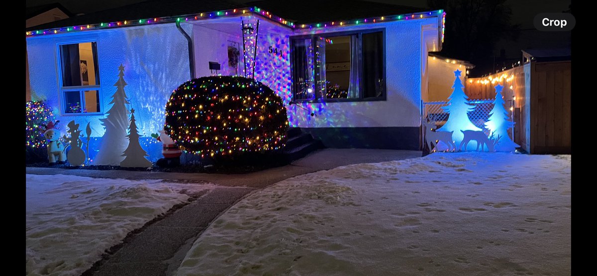 Christmas Tree (@homerball19) on Twitter photo 
