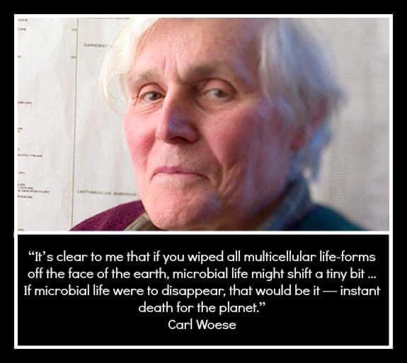 markowenmartin's tweet photo. The #MicrobialPerspective from Brother Carl. #MicrobialCentrism https://t.co/EFpb2ZD1N4
