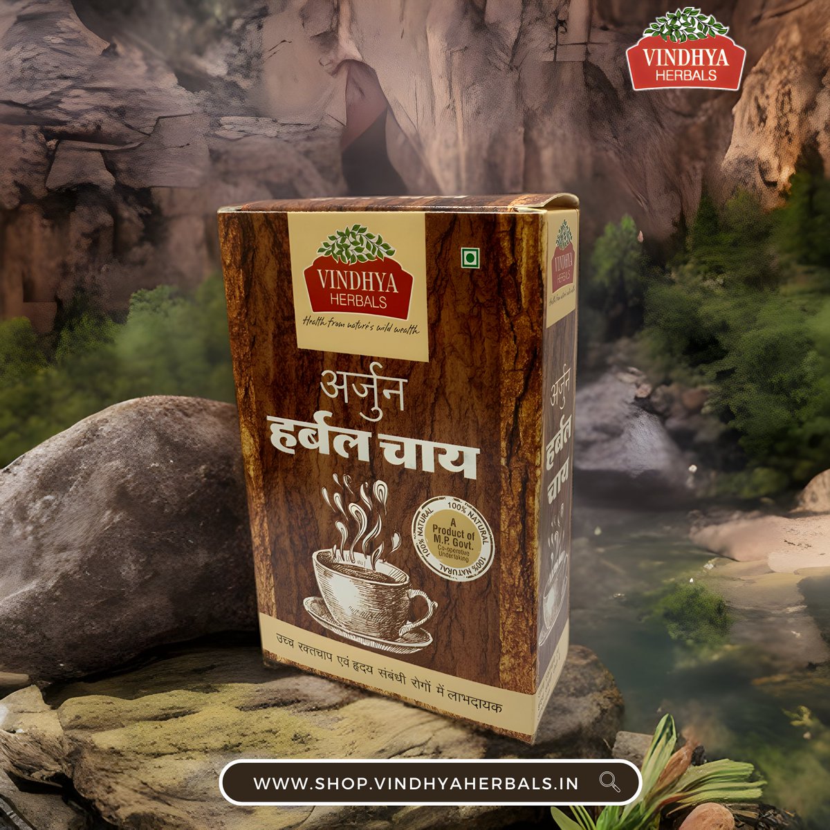MP_MFP's tweet photo. Enjoying a cup of Arjun herbal tea is the perfect way to nourish your body and promote overall wellbeing! This delicious herbal tea is packed with natural ingredients that can help reduce inflammation, boost energy, and improve digestion. 
https://t.co/agYwsxbc4Q
#MadhyaPradesh https://t.co/EEsjsPFdlv