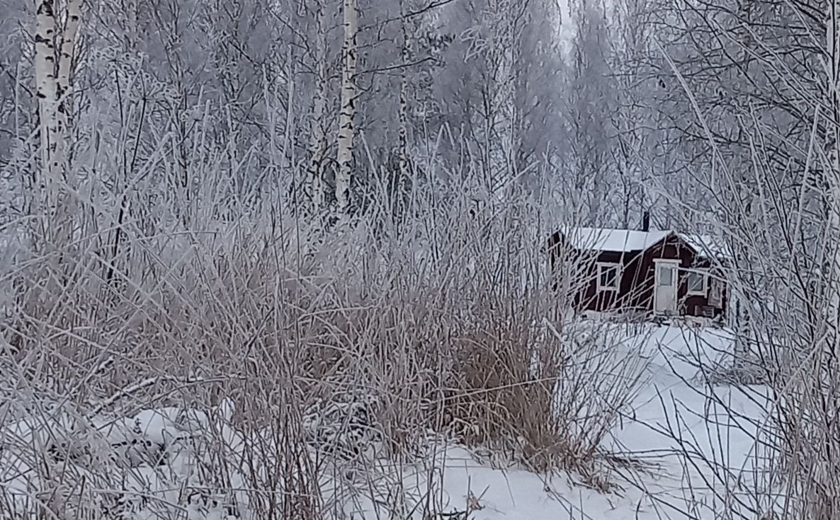 Self-sufficiency tweet media