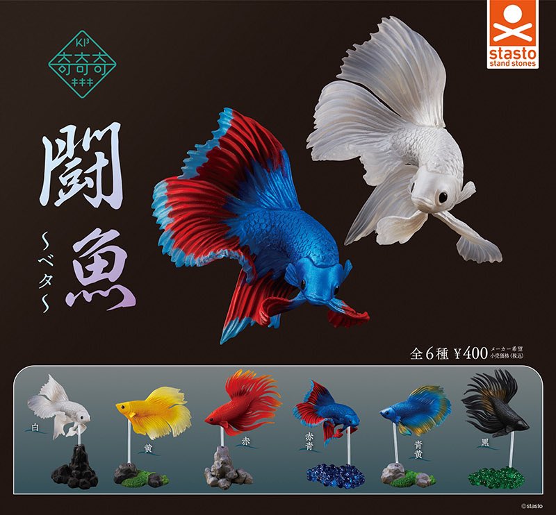ベタ 魚 F4 キャンバス 333mmx242mm 超速報】 闘魚～ベタ～ 全6種400円/1月発売 #ガチャガチャ #広告 #楽天