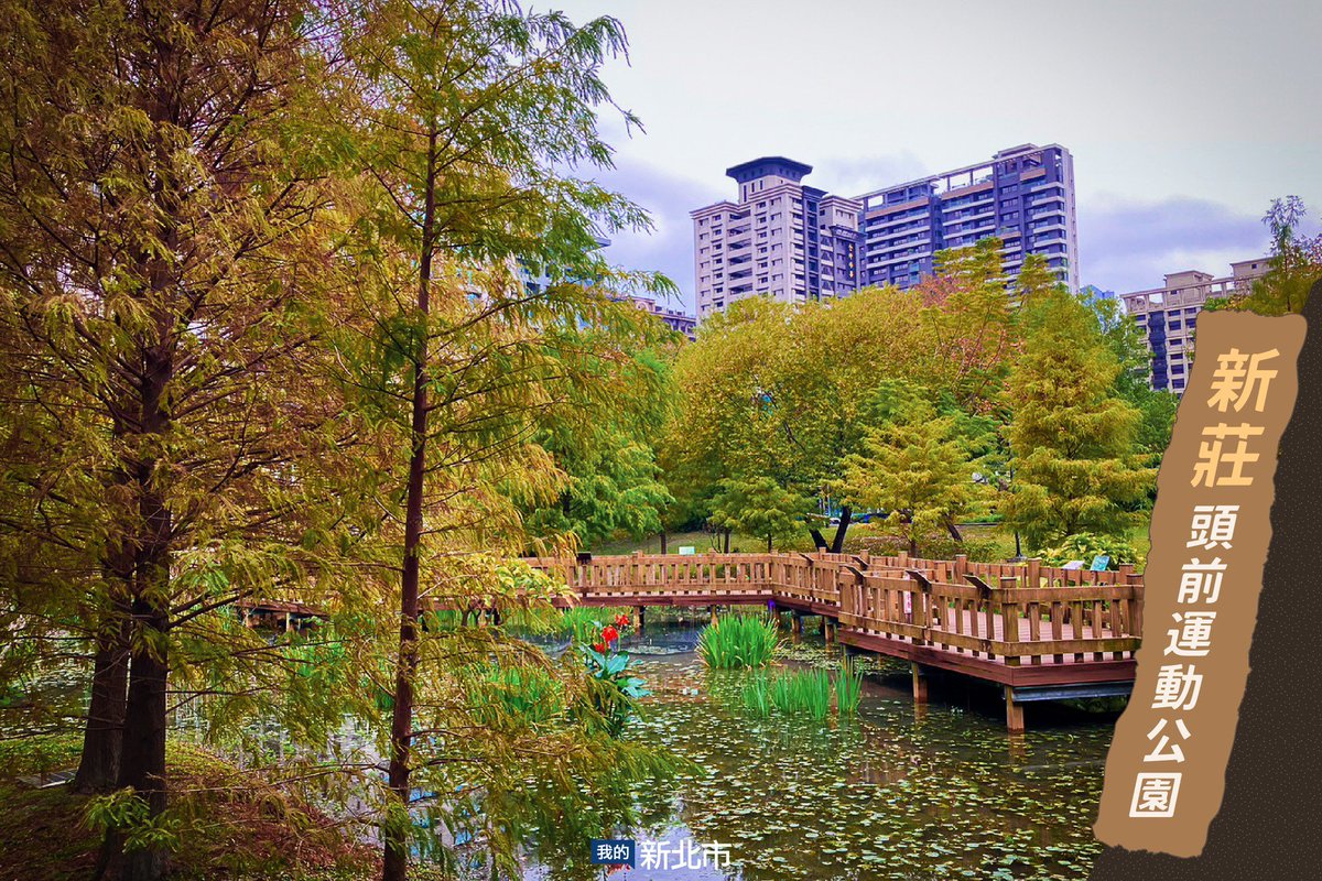 ColombiaTaiwan's tweet photo. Escondido en lo más profundo de Jingualiao en #Pinglin, en #NuevoTaipéi, se encuentra el Parque Fluvial de Jiuqionggen.🏞️
Puede disfrutar de una hilera de #alerces de gran belleza, un pabellón para picnics y el poder curativo de la naturaleza.🌲😍
@NewTaipeiGov @NOTICIASTaiwan https://t.co/GUPX6xesWx