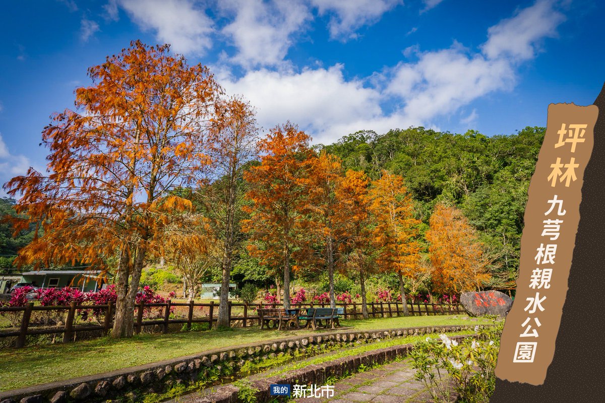 ColombiaTaiwan's tweet photo. Escondido en lo más profundo de Jingualiao en #Pinglin, en #NuevoTaipéi, se encuentra el Parque Fluvial de Jiuqionggen.🏞️
Puede disfrutar de una hilera de #alerces de gran belleza, un pabellón para picnics y el poder curativo de la naturaleza.🌲😍
@NewTaipeiGov @NOTICIASTaiwan https://t.co/GUPX6xesWx
