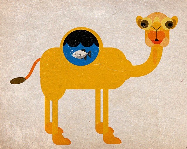 سعد بن مرعي tweet media