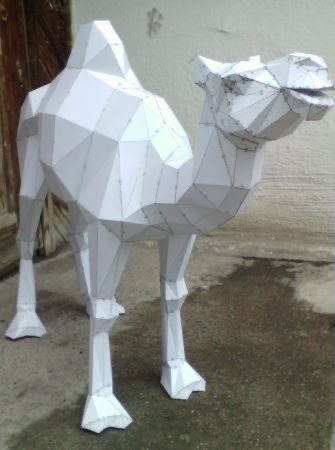 سعد بن مرعي tweet media