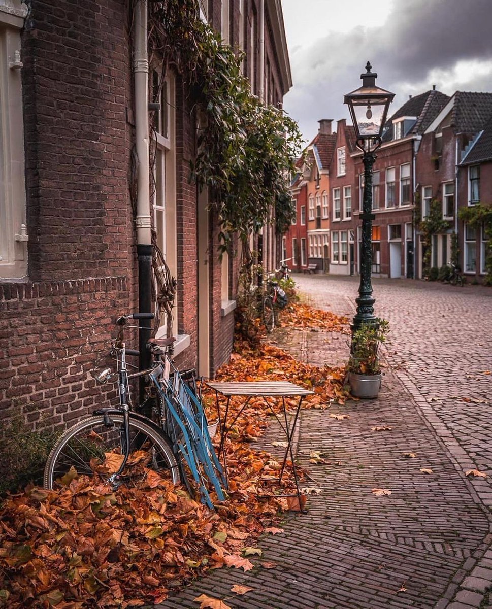 Leiden 🍂 #Netherlands