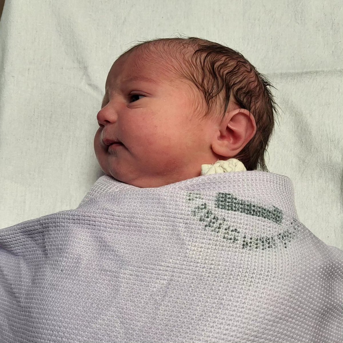 Dr Emily Cooper tweet media