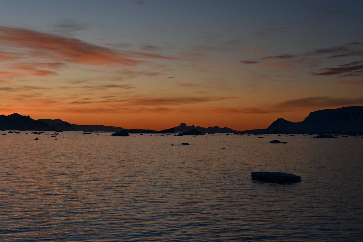 Dr Christelle Auguste tweet media