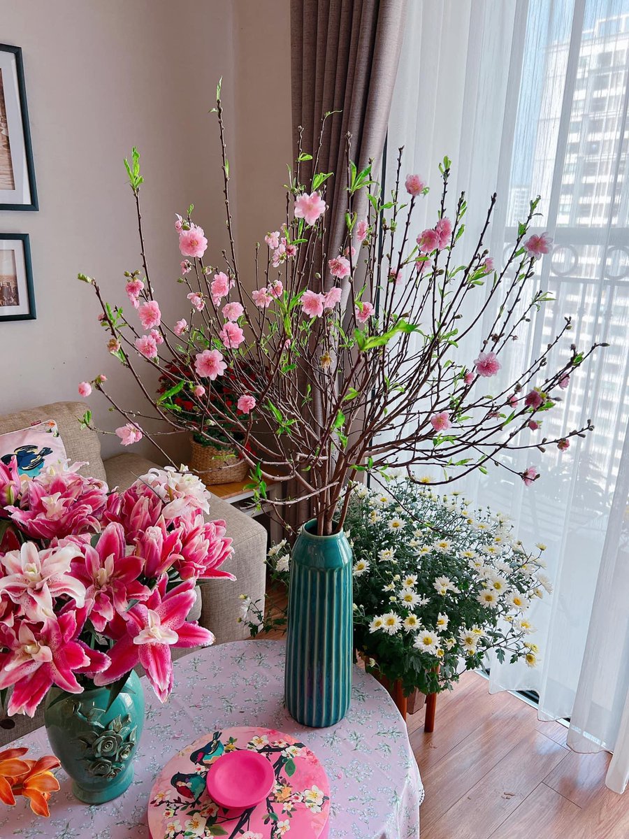 Phương Linh tweet media