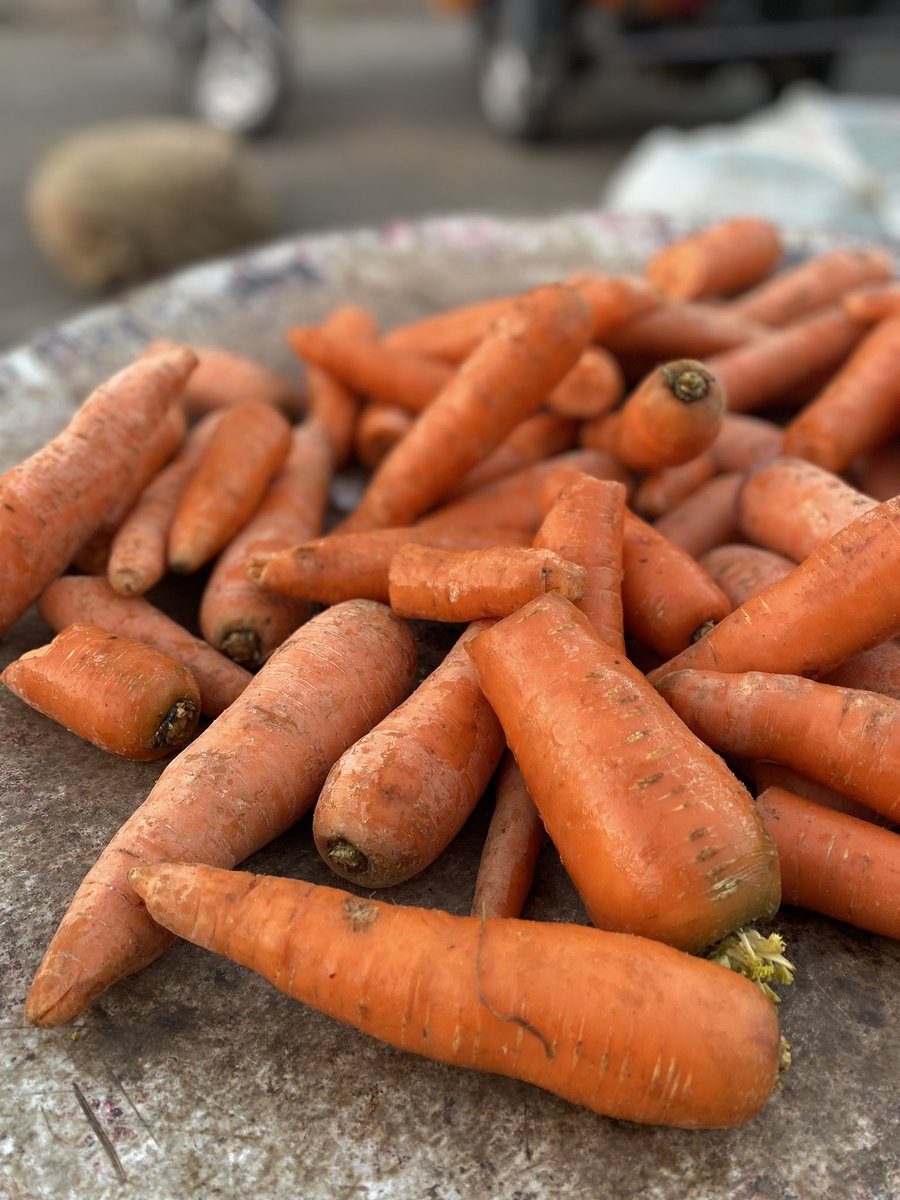 Vedic_restro's tweet photo. At Vedic, Jodhpur, culinary excellence begins with the daily harvest – fresh vegetables, fiery chillies, crisp carrots, sourced meticulously from local markets. Each dish is a canvas of vibrant flavors, a testament to our commitment to freshness. Elevate your dining experience! https://t.co/SXR6eJBxS5
