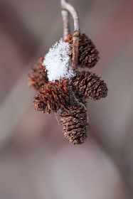 It is important to note that Bitcoin ETF is in no way linked to Bitcoin or spot ETFs. The aim of the project appears to be to exploit the enthusiasm for the possible approval of spot ETFs.