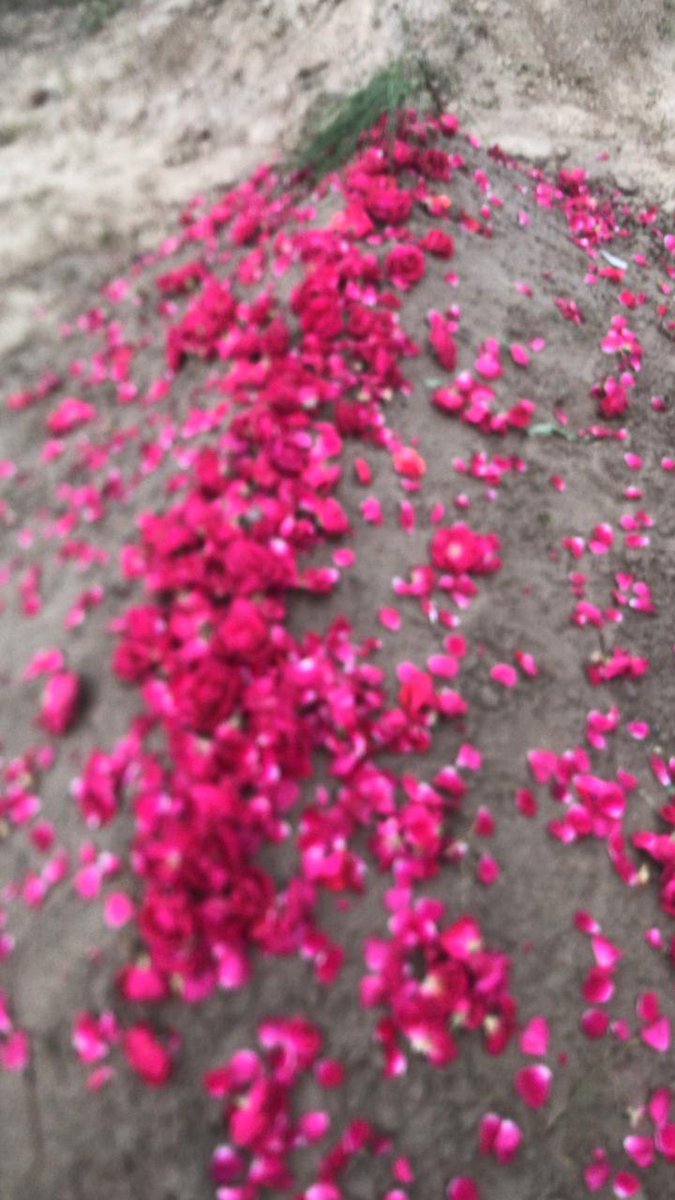 رَبَّنَا اغْفِرْ لِي وَلِوَالِدَيَّ وَلِلْمُؤْمِنِينَ يَوْمَ يَقُومُ
الْحِسَابُ .
میری لاڈلی ماں  اللہ پاک تسکین جنت عطا فرمائے آپکو 💔😭