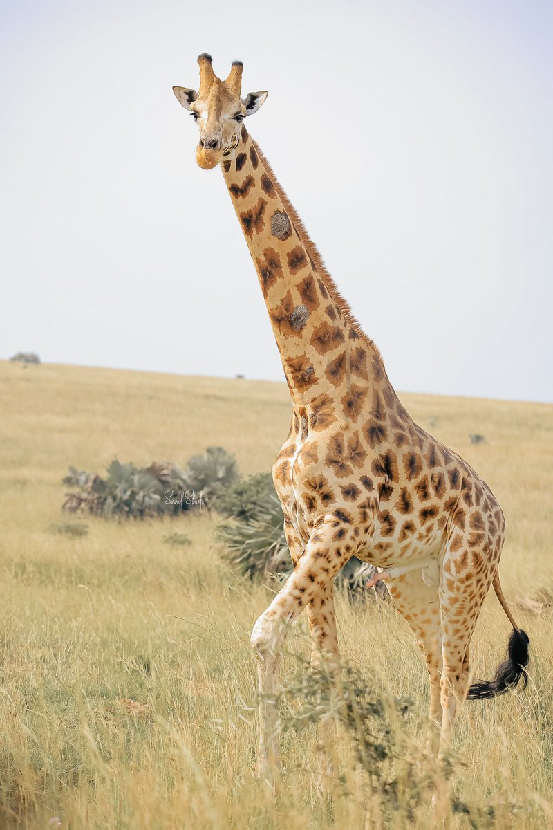 Retweet When you see it!