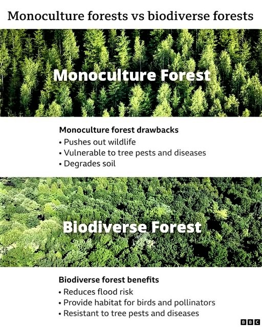 For reforestation, which is needed worldwide, it requires the expertise of experts, and the advice of such institutions should be sought, especially from our governments and decision-makers worldwide.🌳
<a href="/EfiGovernance/">EFI Governance</a>
<a href="/efibioregions/">EFI Bioregions Facility</a>
<a href="/EFIpartnerships/">International Partnerships Facility</a>
<a href="/efiresilience/">Resilience Programme</a>
<a href="/AlexanderHeld4/">Alexander Held</a>