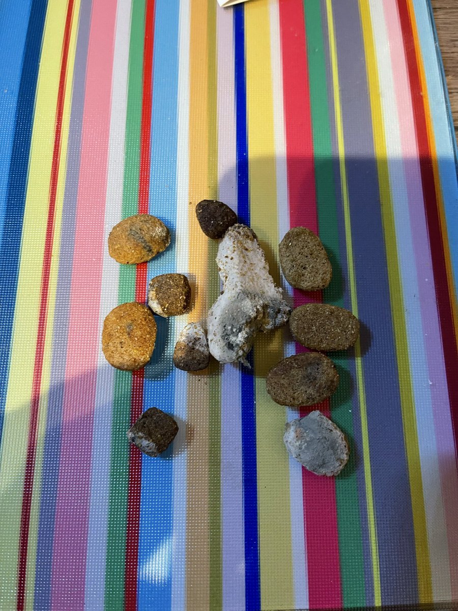 Gingerminime81 tweet media