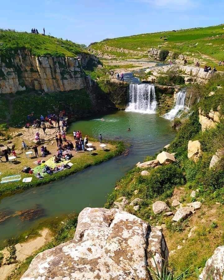 Tunisia 1942-1943: World War 2 History tweet media