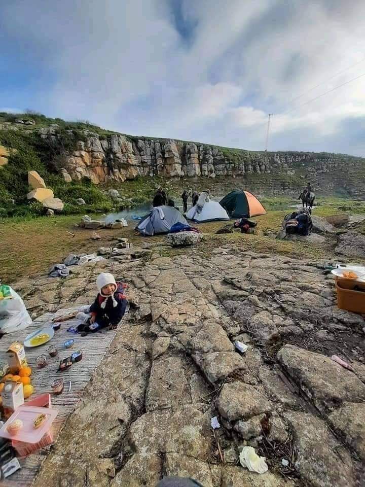 Tunisia 1942-1943: World War 2 History tweet media