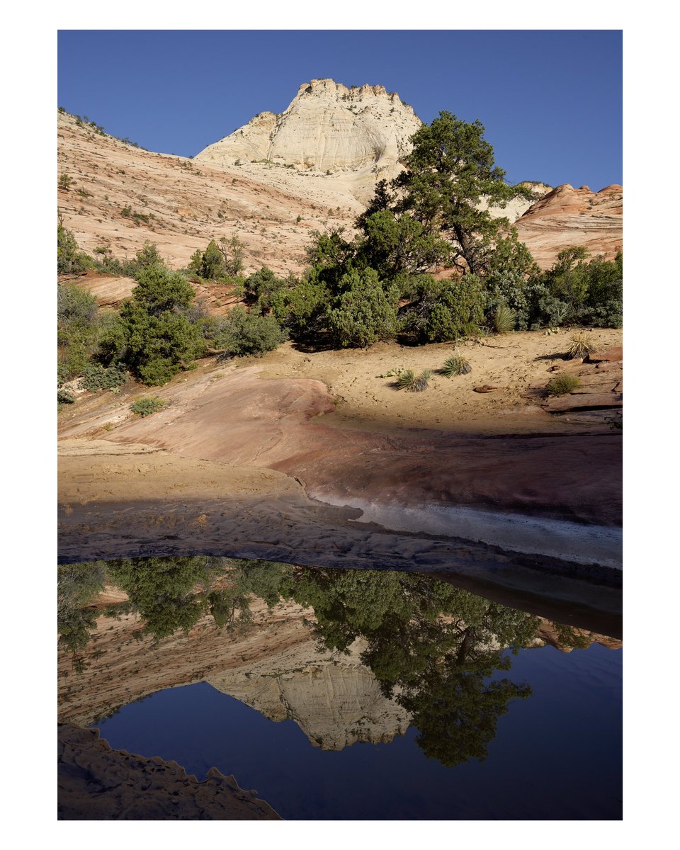 pappusrkr's tweet photo. While walking through the washes of Zion NP. https://t.co/9rdwZU0S5K