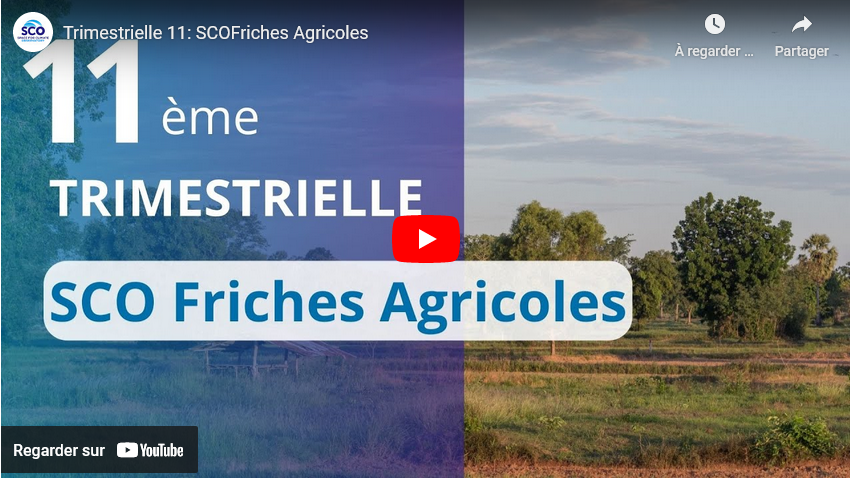 🛰️🚜 Comment les satellites contribuent à accompagner la transformation des pratiques agricoles? ➡️ Réponses dans le replay 11e trimestrielle Observatoire Spatial pour le Climat #SCO! 🎬 bit.ly/48DQ2LC 📅 Rdv en mars pour la suivante, sur les catastrophes naturelles.