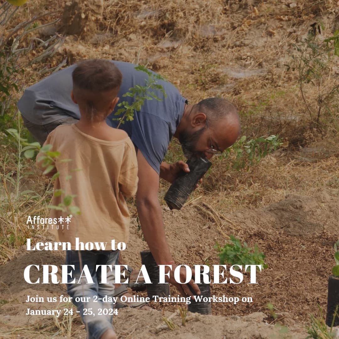 Join us for our 2-day Online Training workshop on 24th- 25th January,2024 (6 PM to 10 PM, IST) With a focus on adapting the Miyawaki methodology of afforestation. Fee:- INR 35,000/USD 500 Do write to us with the statement of intent on training@afforestt.com. #onlinetraining
