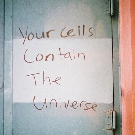 archillect's tweet image. 