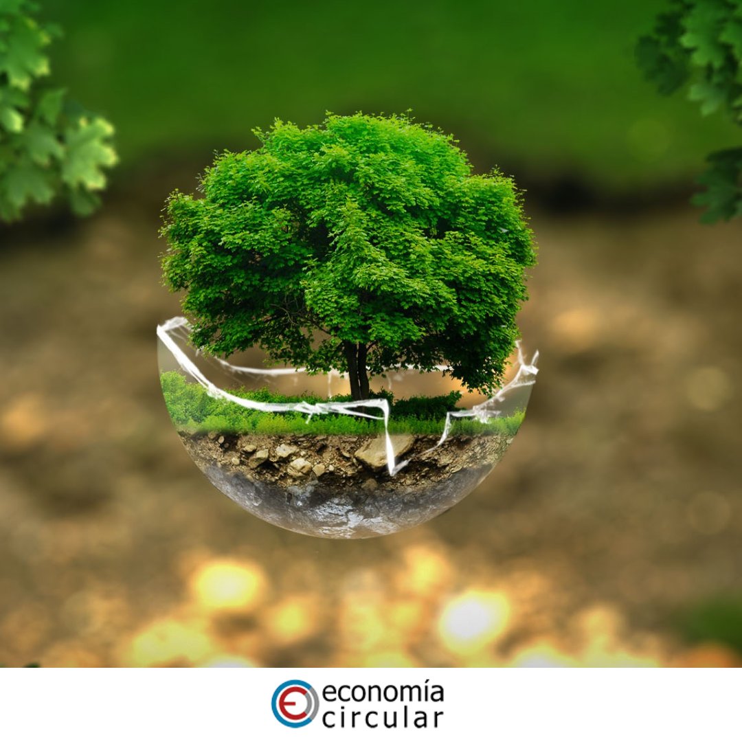 Economía Circular tweet media