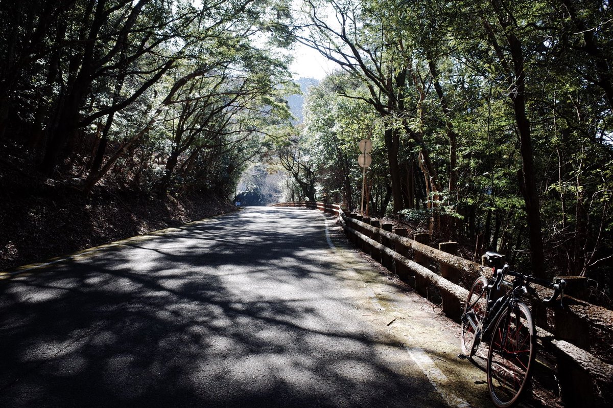 tsirosi's tweet photo. 2024走り初めは宮崎で🚴♀️
久々にアルミフレームに乗ると、改めてカーボンフレームの振動吸収性の高さが分かるなあ⭕️
それでもCAAD9には思い入れがあり、今でも良き相棒。
#poc #giro #oakley #cannondale #caad9 https://t.co/22YH8QzcZC