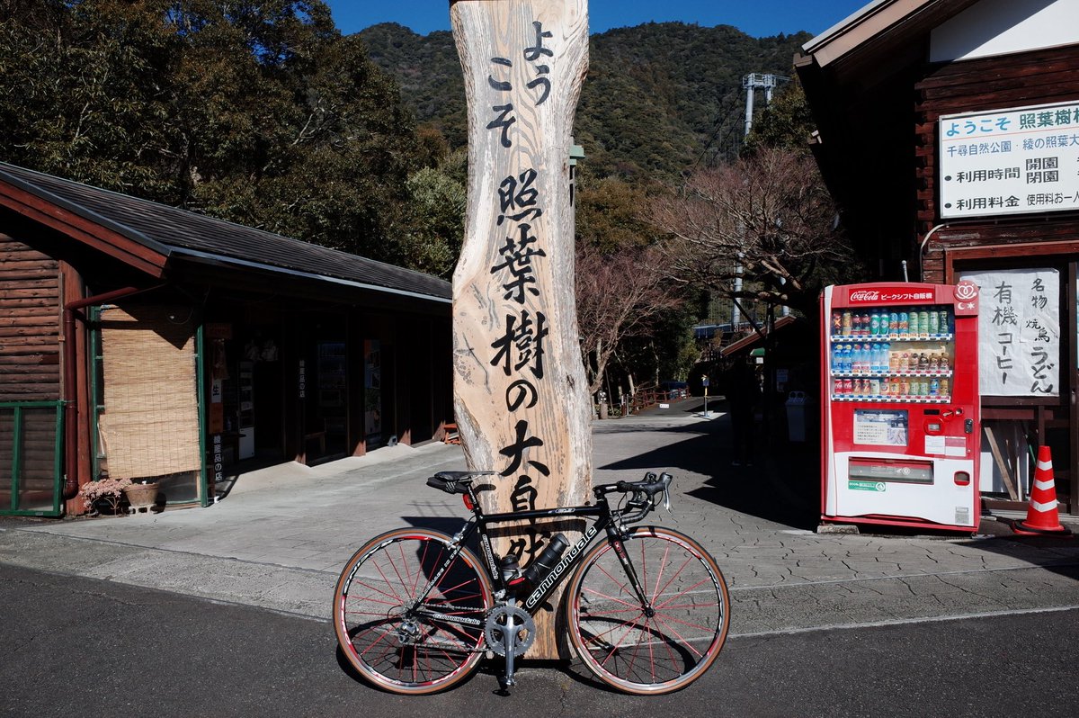tsirosi's tweet photo. 2024走り初めは宮崎で🚴♀️
久々にアルミフレームに乗ると、改めてカーボンフレームの振動吸収性の高さが分かるなあ⭕️
それでもCAAD9には思い入れがあり、今でも良き相棒。
#poc #giro #oakley #cannondale #caad9 https://t.co/22YH8QzcZC