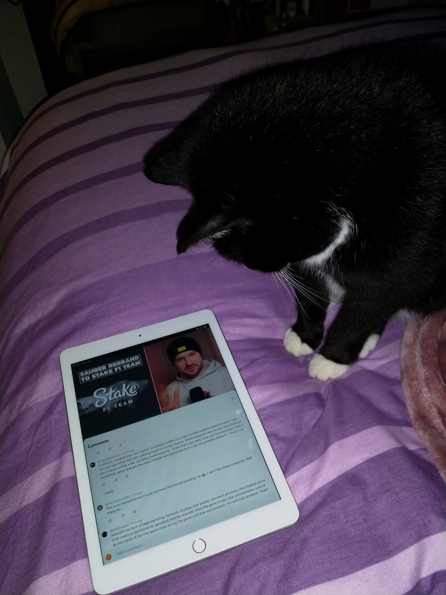 My mum's cat Latte was very interested in the latest @TwommoF1 chinwag!