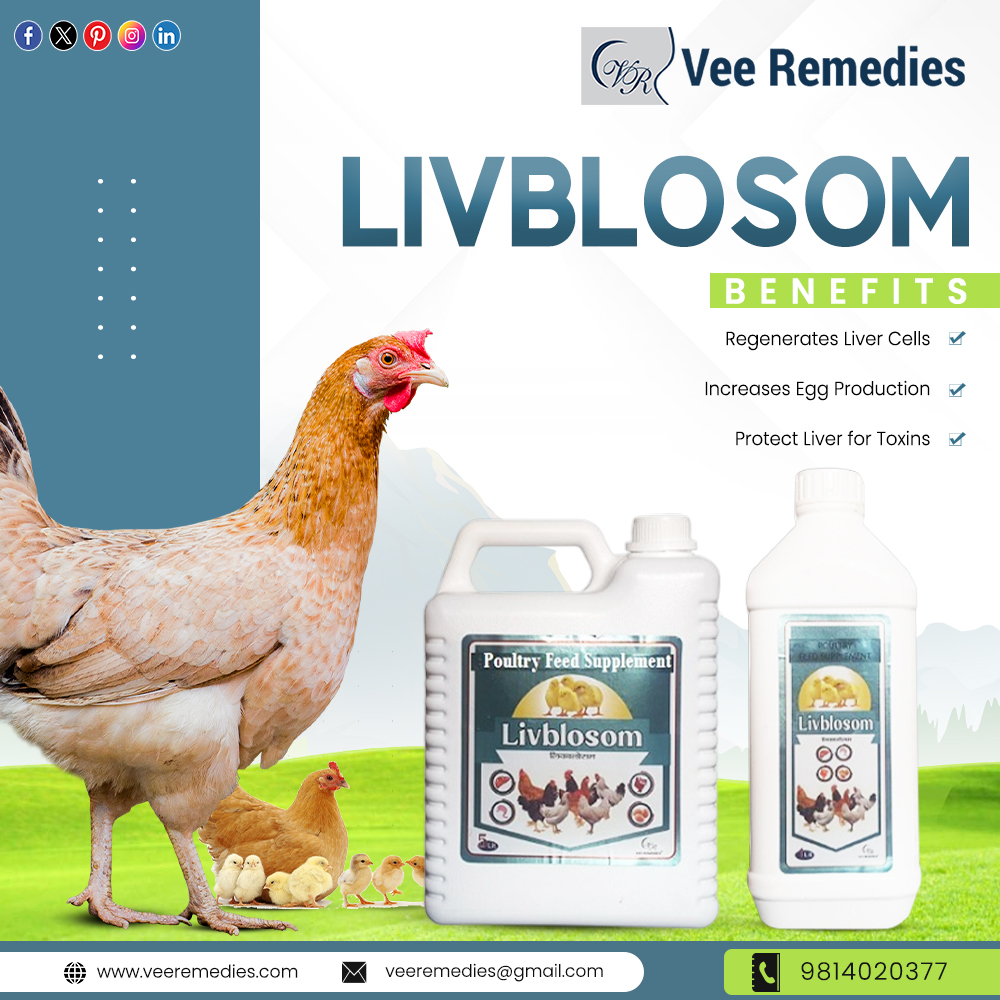 LIVBLOSOM By VEE REMEDIES 
- Regenrates Liver Cells
- Increases Egg Production
- Protect Liver for Toxins
For More Info:
Visit: veeremedies.com
Call us: +91 9814020377 #PCDPharmaFranchise #FranchiseBusiness #pharmaceuticalindustry #poultryrange #feedsupplements