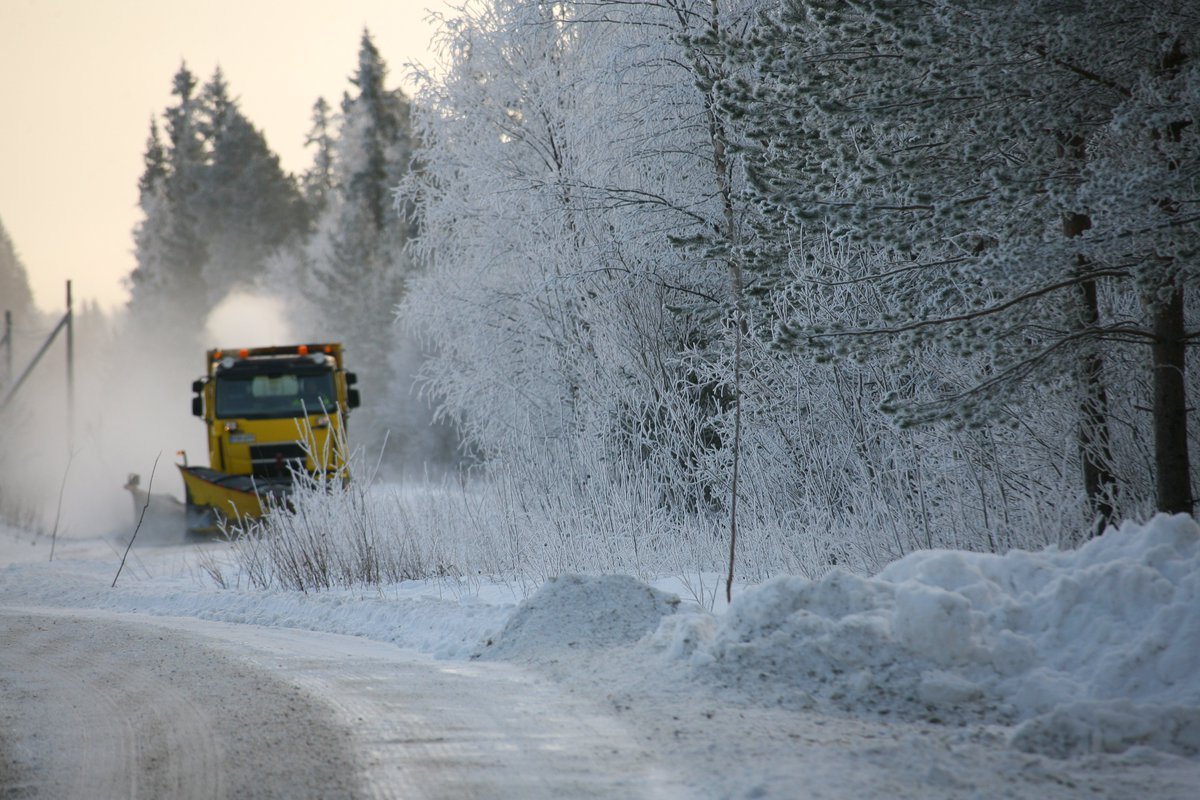 Iloista loppiaista kaikille! Joko teilläkin joulukuusi on kannettu pihalle? 🌲