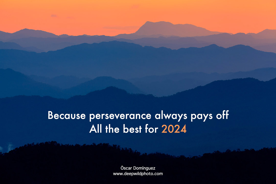 Bon Any!
¡Feliz Año!
Happy New Year!