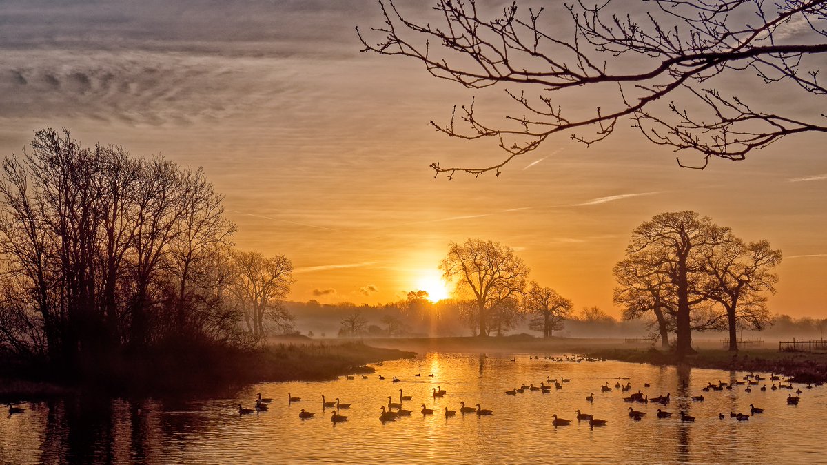 Wondering what to do this week? There's still plenty going on! ✨ Winter Glow at @3countiesshows 🎄 Christmas Trees at The Pepperpot, Upton 🎭 Cinderella at Malvern Theatres 🐦‘Conference for the Birds’ at Croome visitthemalverns.org/events/ 📸 NT / John Hubble #visitthemalverns