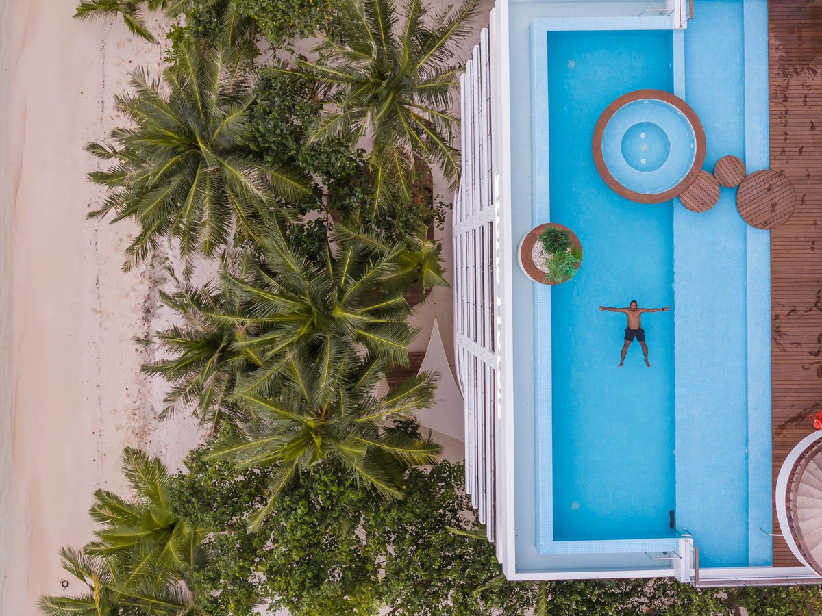 Beaks Abbas tweet media