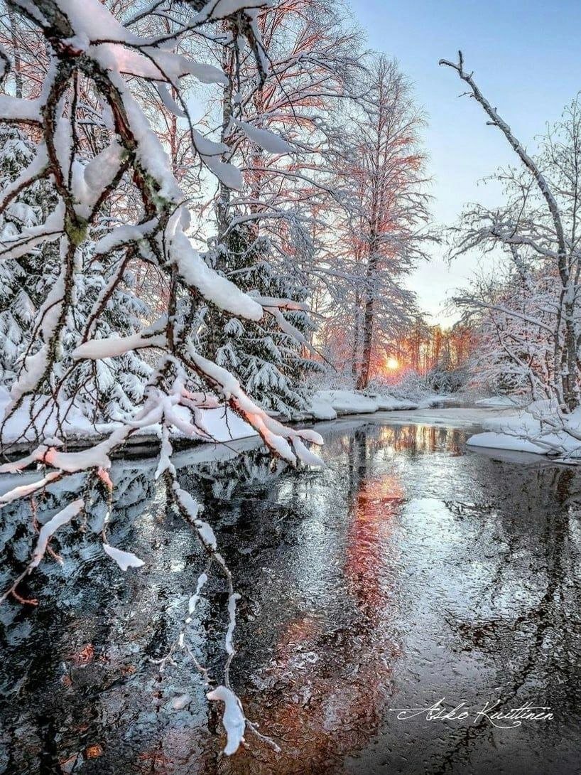 ❄️ Good day dear friends #nature #NewYear2024