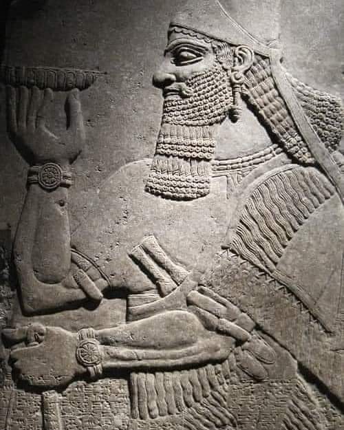 حكمة اشورية 

أخفض صوتك فأنه لو كان المرء يستطيع ان يبني بيتًا بالصوت العالي لكان الحمار يستطيع بناءً دارين في يوماً واحد 

Assyrian wisdom

  Lower your voice, for if a person could build a house with a loud voice, a donkey could build two houses in one day.