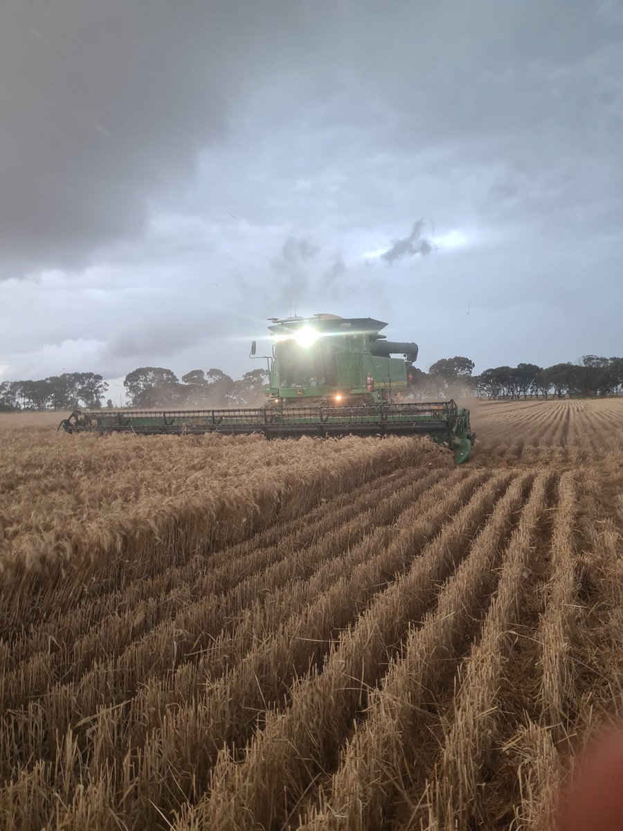 Chris Leed tweet media