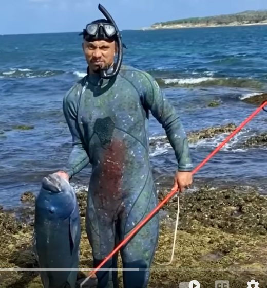 ArnJagaurd's tweet image. This is the man that speared Gus, the Blue Groper, an endangered species. Gus has been around for decades, swimming with divers. Tame and friendly, till this bastard came along. #Gus #BlueGroperGus