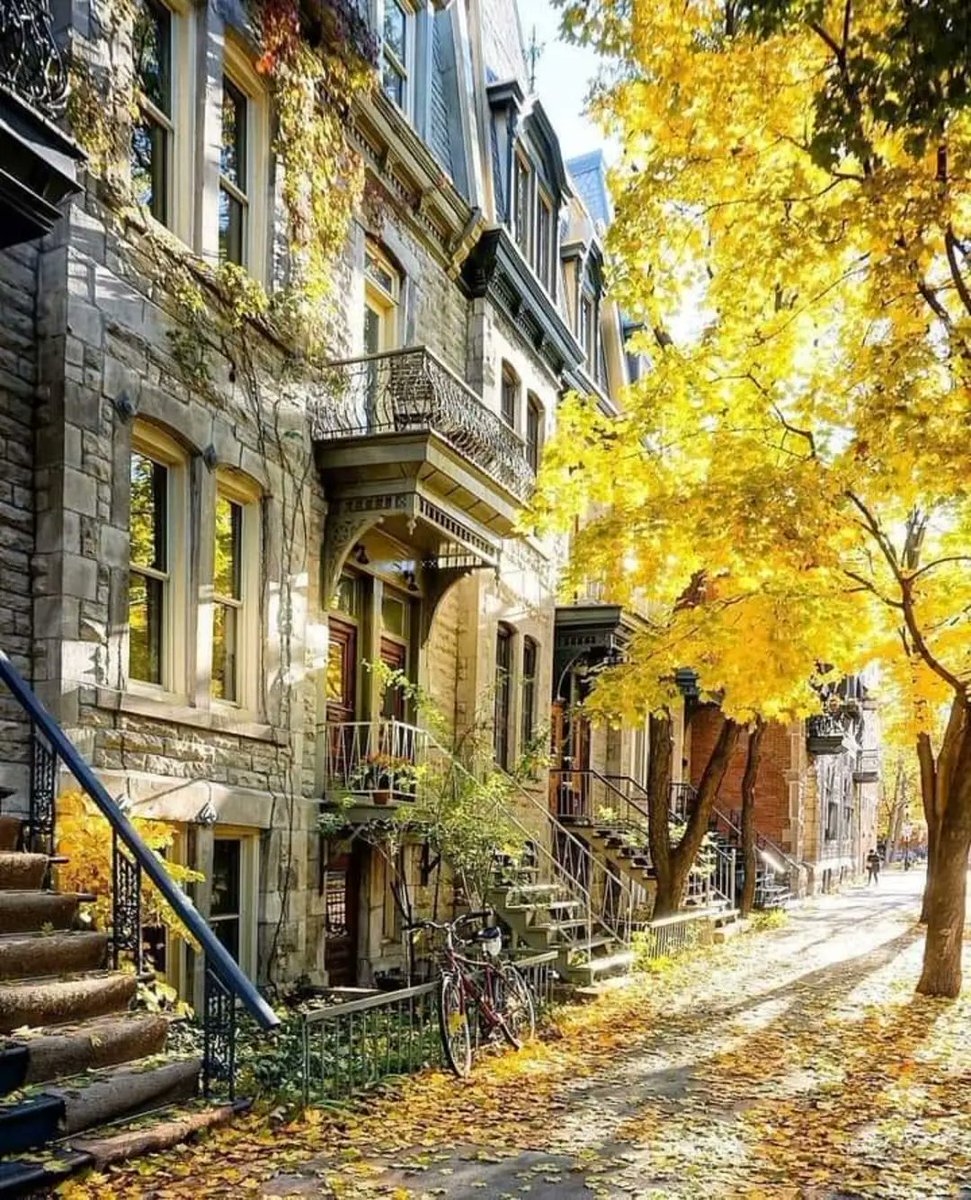 001samyogi's tweet image. Challenge demands #action, not #verbalization. Verbalization is #thought. (2 of many)
~ J. Krishnamurti