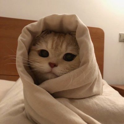 Cute Cat Aggregator (@rainpredictor) on Twitter photo Woke up and saw some humans depositing into my <a href="/HyperliquidX/">Hyperliquid</a> vault. Guess I am a hedge Fund Manager now. Woke up and saw some humans depositing into my <a href="/HyperliquidX/">Hyperliquid</a> vault. Guess I am a hedge Fund Manager now.