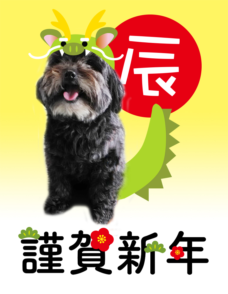 RUBYandFRIEND's tweet photo. 明けましておめでとうございます。
前回の投稿で入居者が決まらないとぼやいていたのですが、あの後立て続けに4件も問い合わせが入り最初に内覧に来ていただいた方に決定。
今月中旬に引越し予定。これで本格的に猫ちゃんのお迎えができそうです。経過は順次お知らせしますね。
#保護猫シェアハウス https://t.co/vpBBA6uKHw
